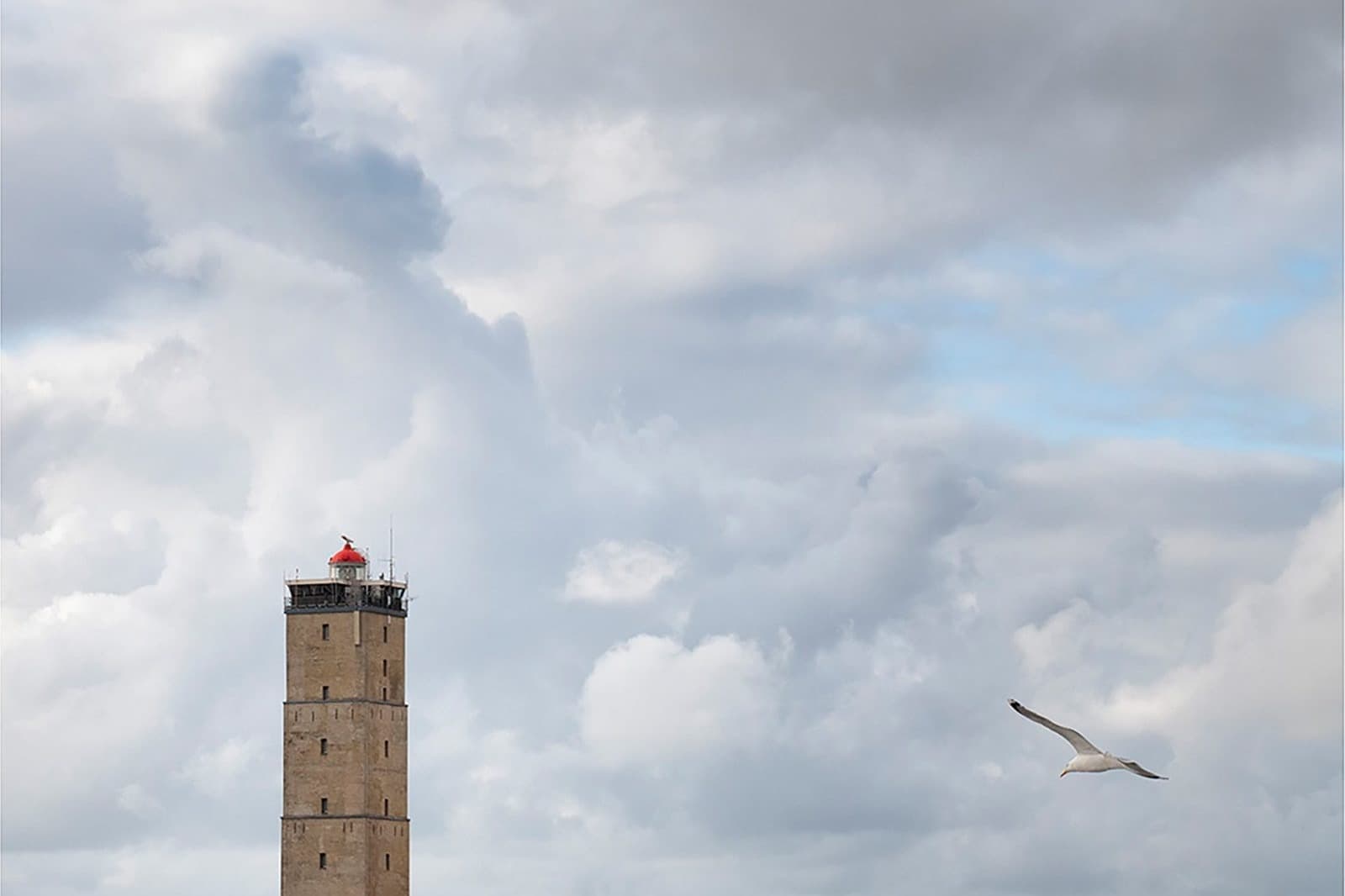 Terschelling eilandlandschap, vakantieverhuur Midsland aan Zee