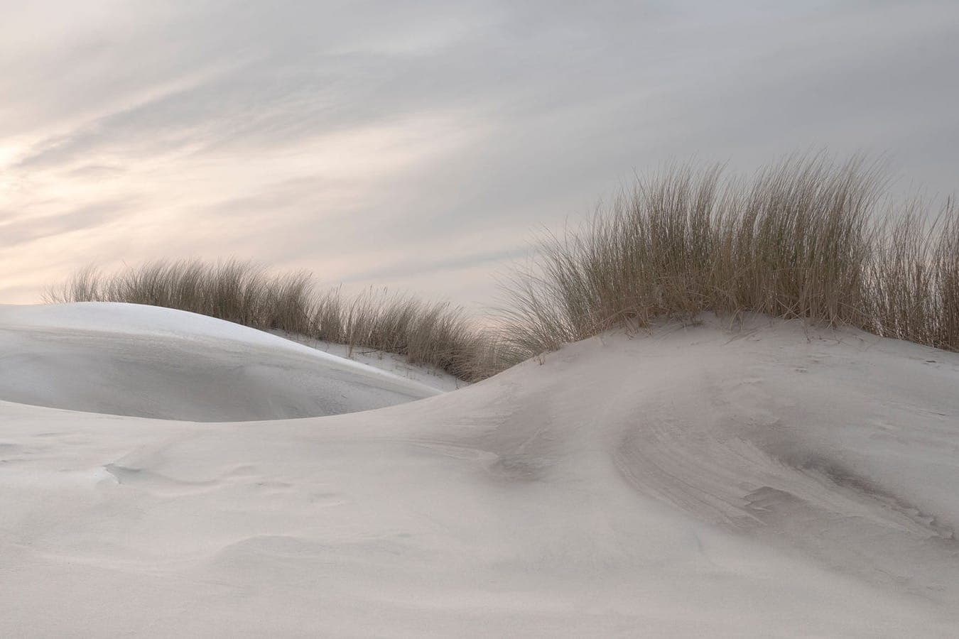 Winterduinen Terschelling, vakantieverhuur Apenstaartje alle seizoenen