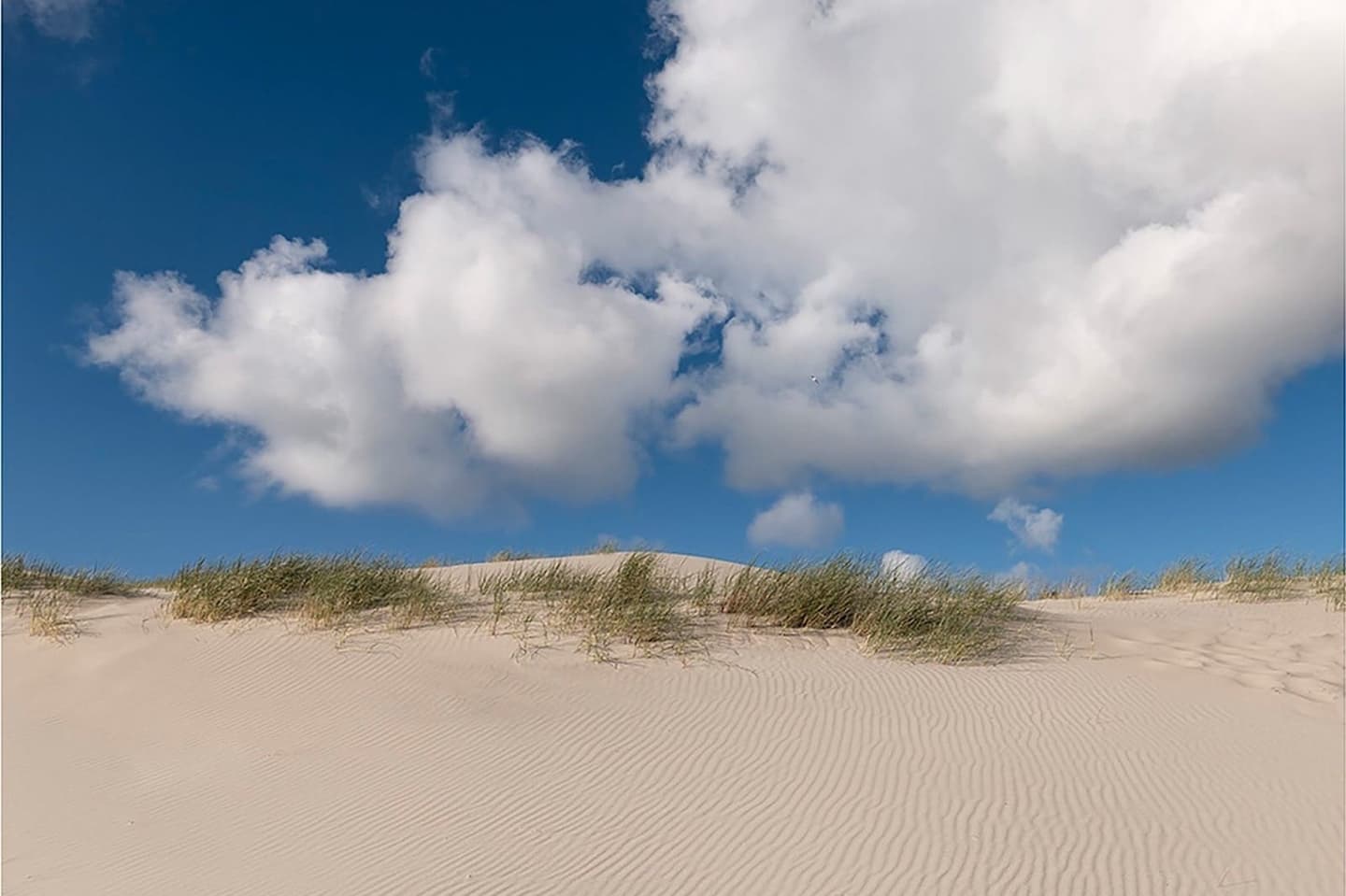 Duinen Terschelling, wandeling vanuit vakantiehuis Apenstaartje