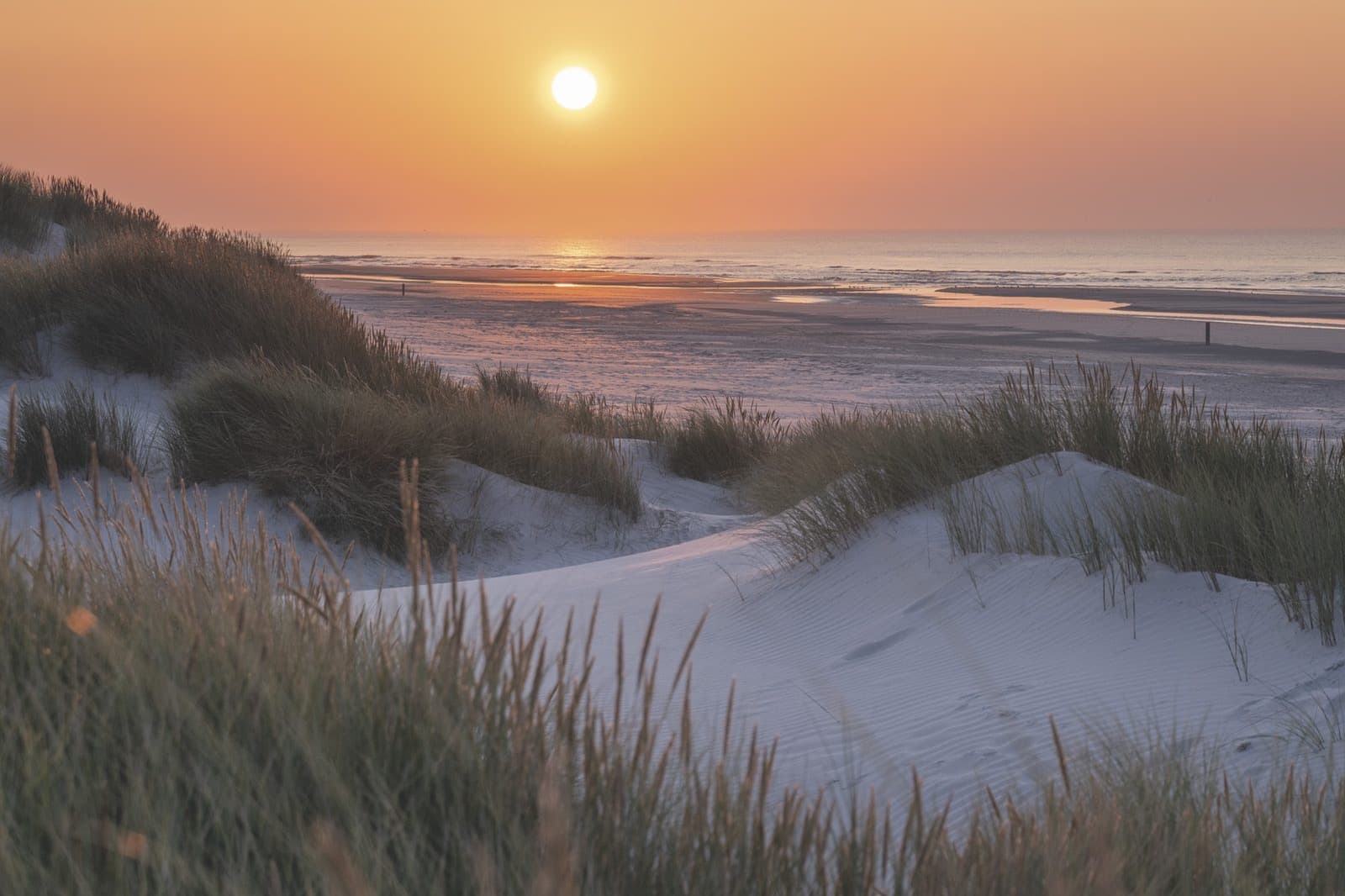 Duinen Terschelling in de zomer, wandelen vanuit vakantiehuis Midsland aan Zee