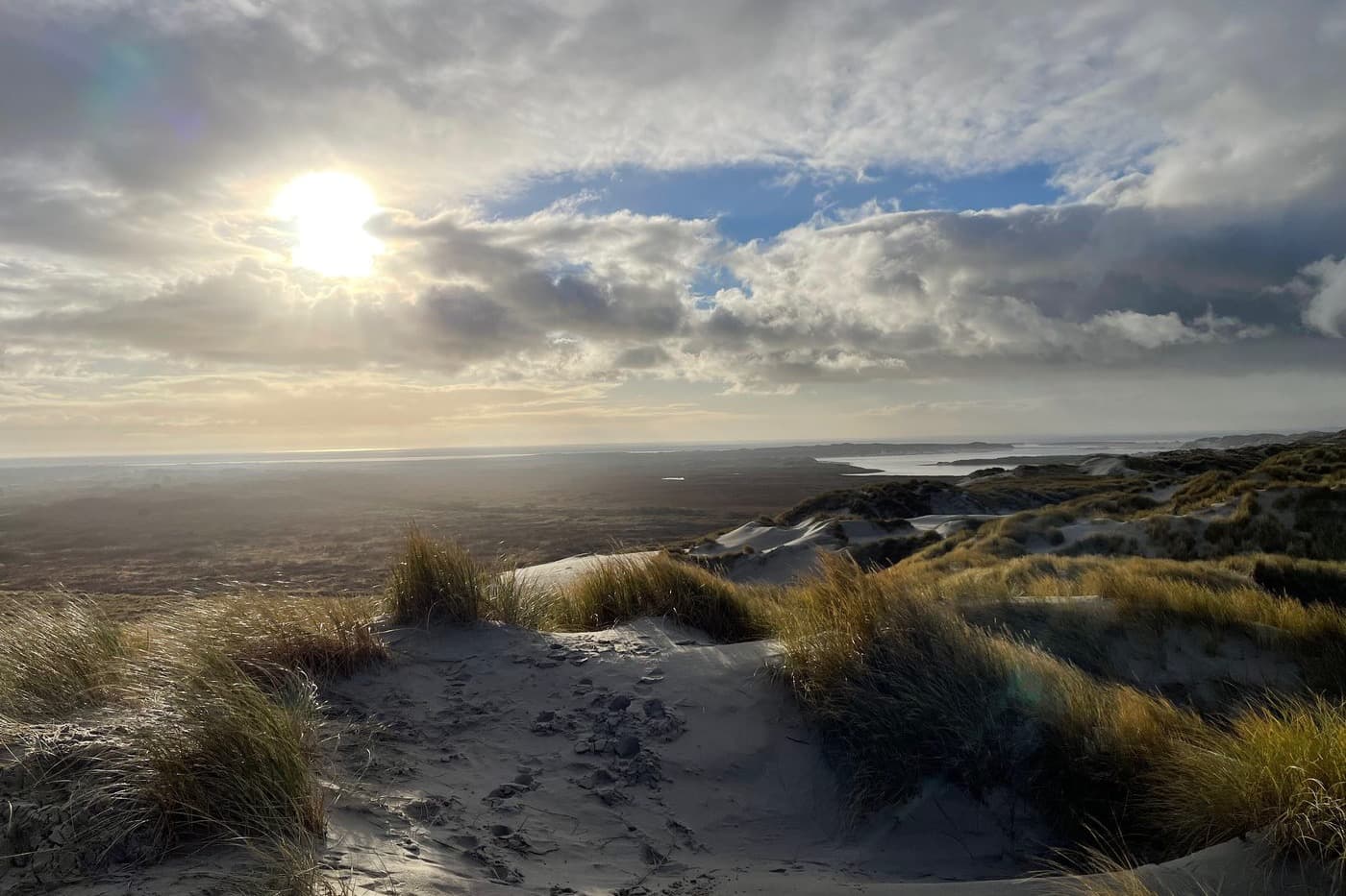 Duinen Terschelling in gouden avondlicht, natuur bij vakantieverhuur Midsland aan Zee