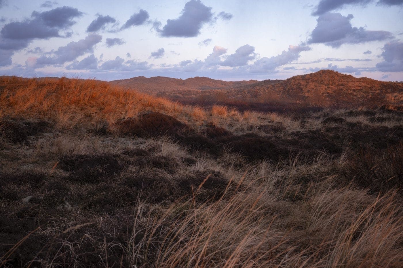 Herfstduinen bij zonsondergang Terschelling, vakantie Waddeneiland