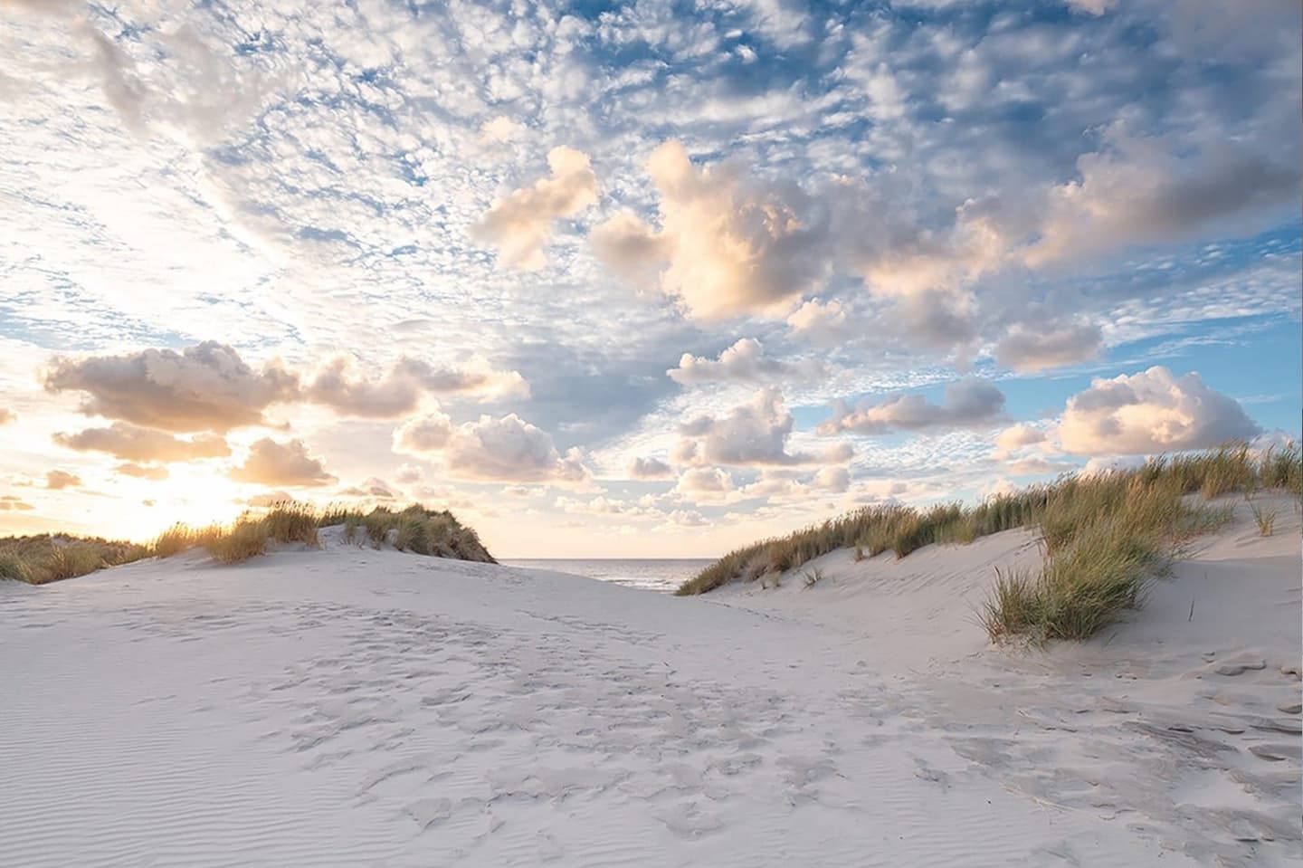 Strand Terschelling, verhuur vakantiehuis Apenstaartje