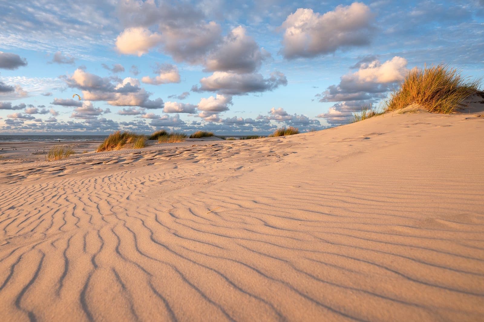 Strand Terschelling bij laagwater, Midsland aan Zee vakantiehuis verhuur
