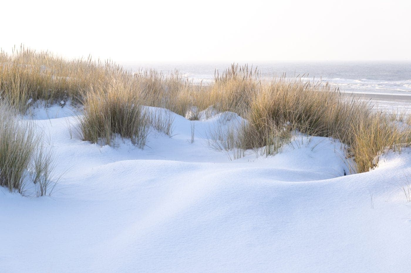 Winterstrand Terschelling, vakantieverhuur Apenstaartje alle seizoenen