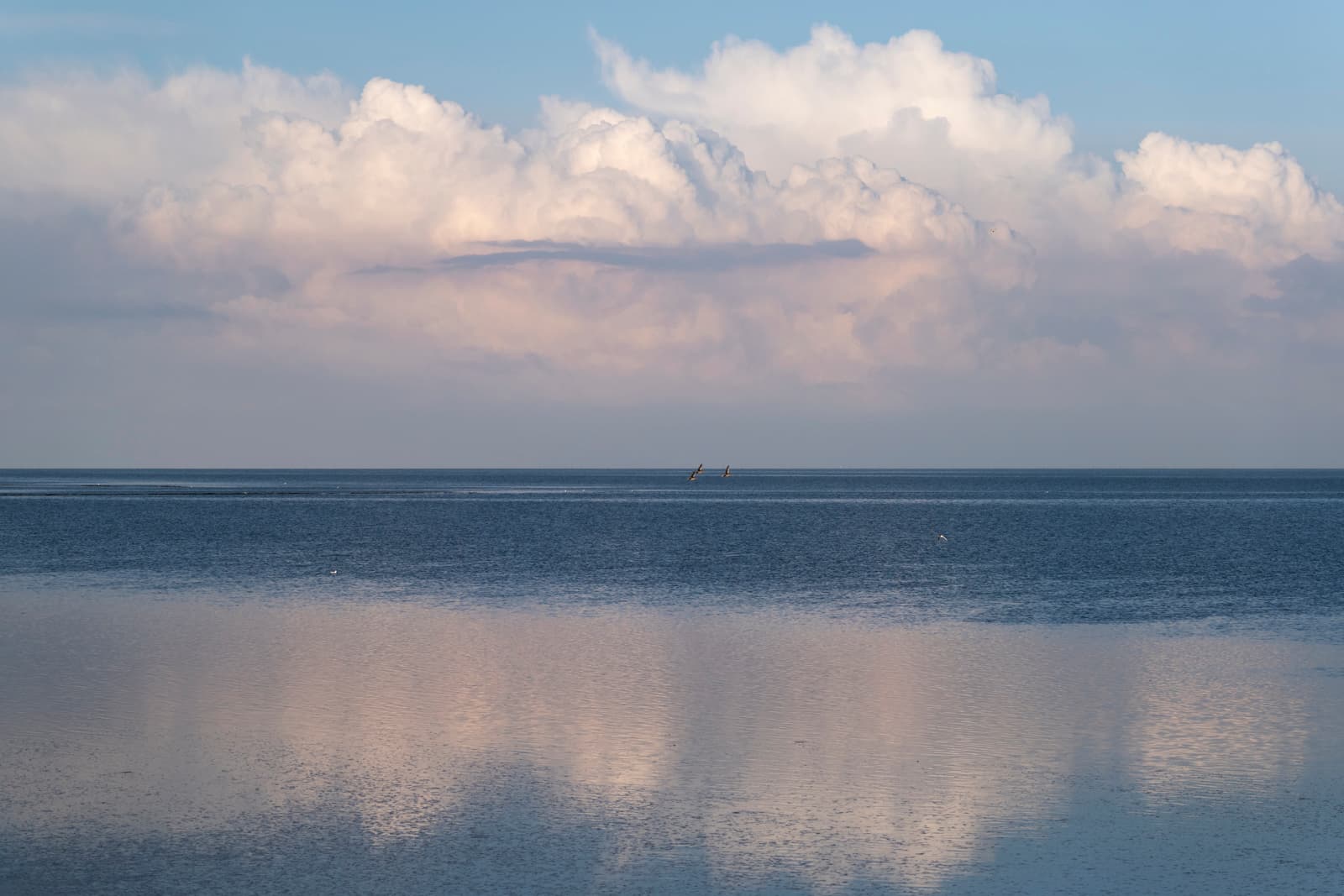 Strand Terschelling Midsland aan Zee, vakantie aan zee bij vakantiehuis Apenstaartje