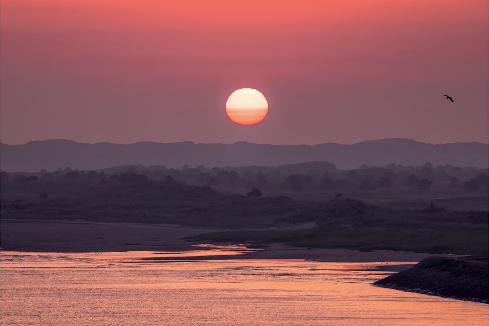 Wad bij Terschelling, rustige vakantie op het Waddeneiland