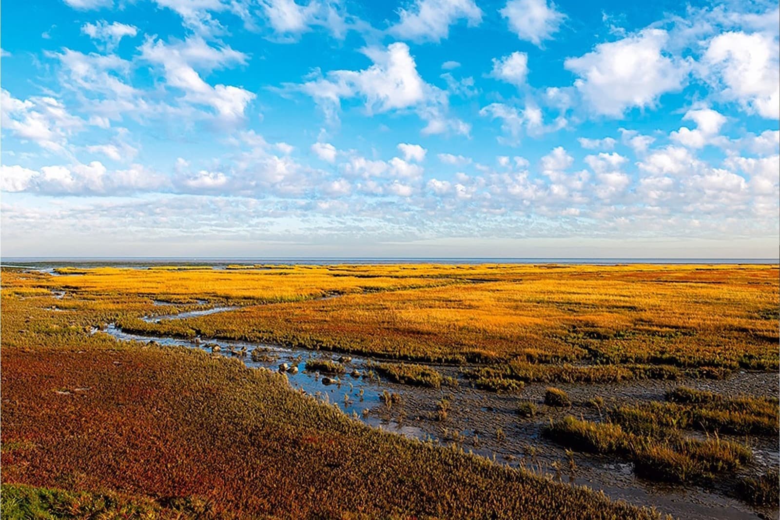 Wad Terschelling bij vloed, Waddengebied natuur verhuur