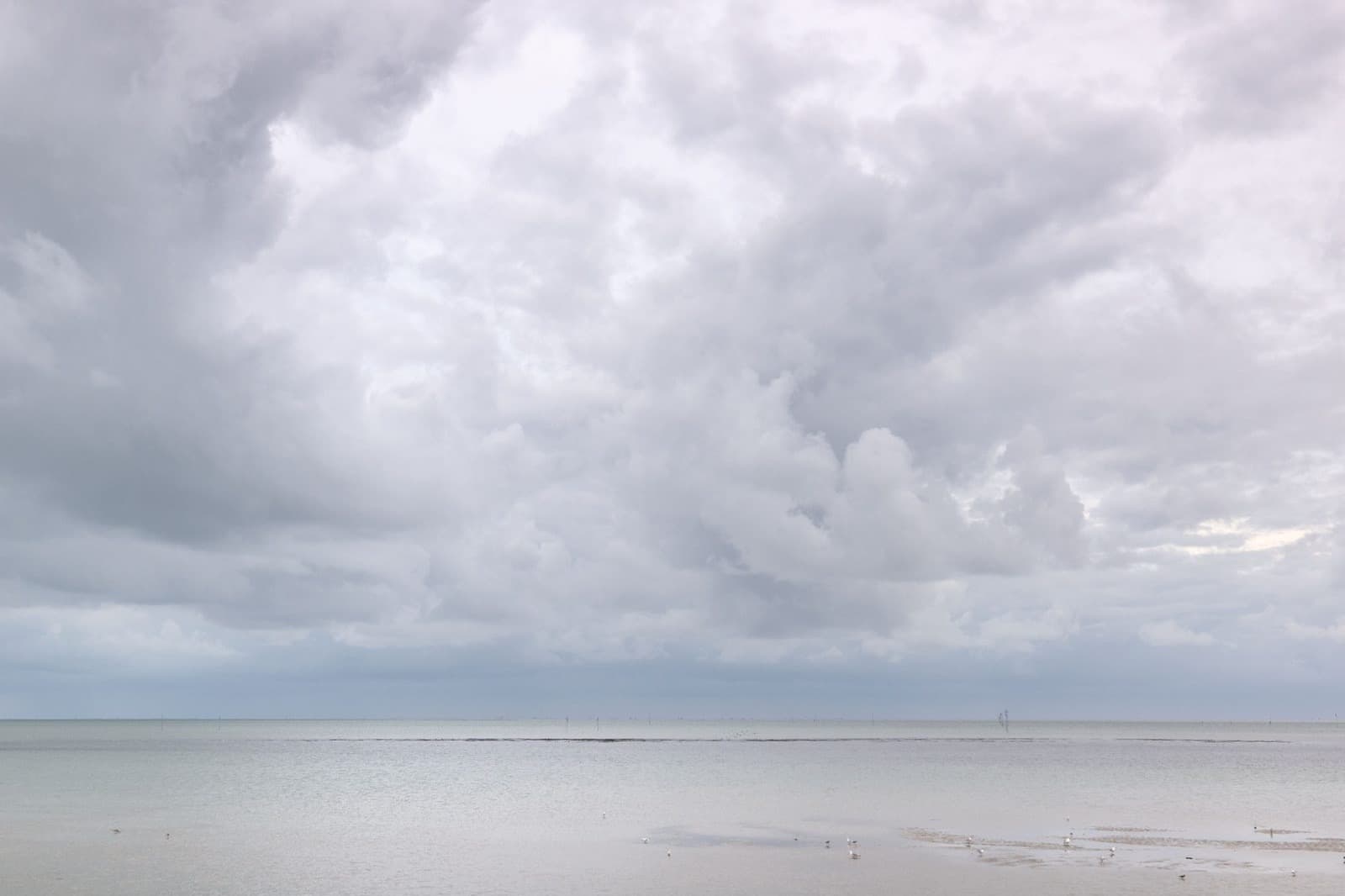 Wad Terschelling, rustige wandeling bij vakantieverhuur Waddeneiland